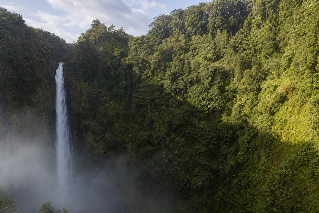 Morning sunlight moving down the green gorge wall beside Akaka Falls while mist sits low at the base