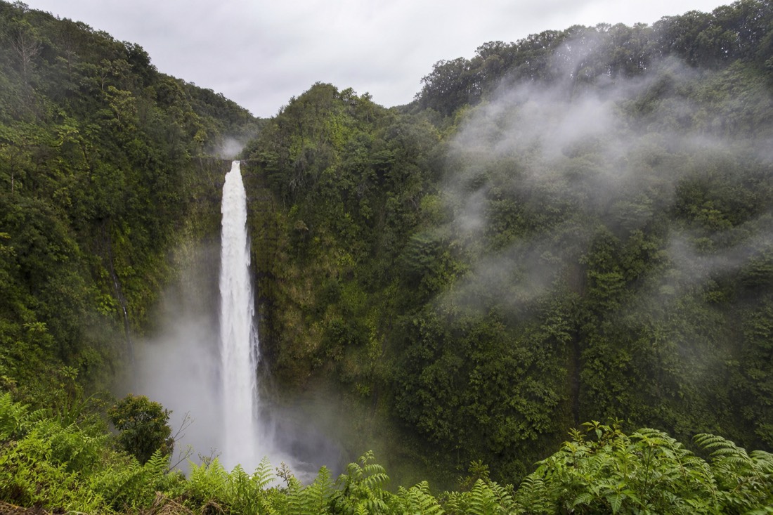 Akaka Falls running full and white after rain with mist drifting across the green gorge