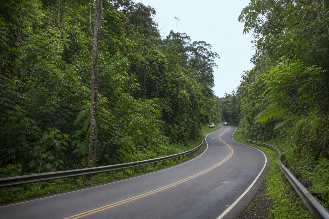 Highway 220 climbing from the Hamakua coast road toward Akaka Falls State Park