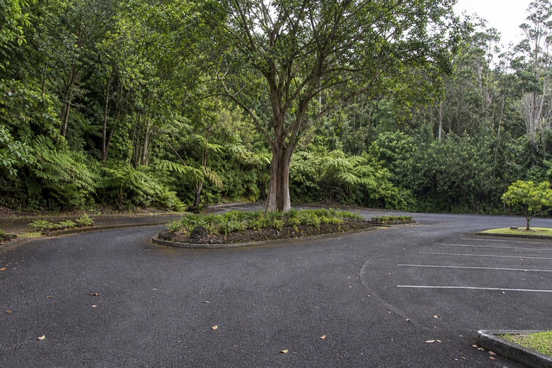 Empty parking area at Akaka Falls State Park shortly after the 8:30am opening