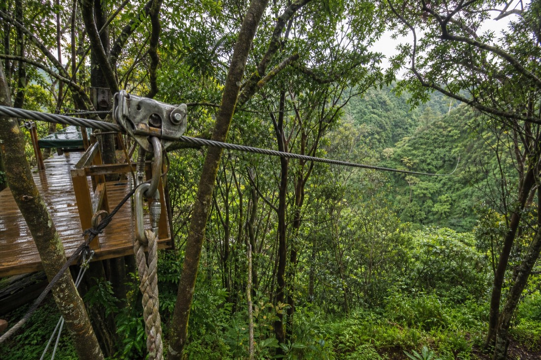 Wooden zipline launch platform built into ohia trees above a Hamakua gulch, steel cable and pulley rigging in the foreground, damp morning light through the canopy