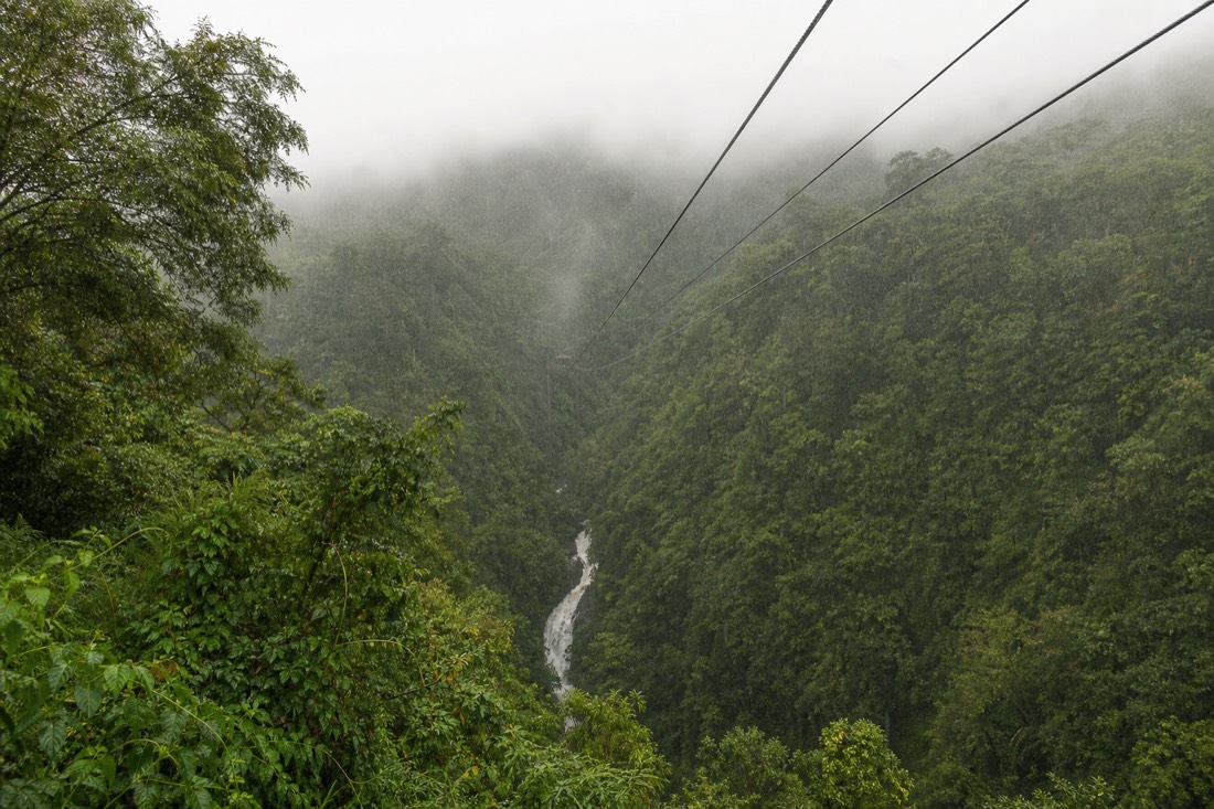 Warm rain falling across a Hamakua gulch with zipline cables disappearing into low mist and steam rising off the treetops
