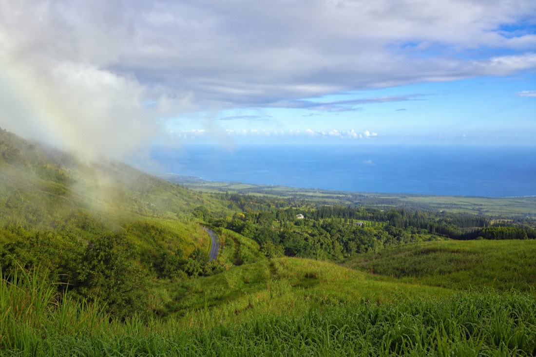A passing rain shower clearing over the Hamakua Coast with bright ocean horizon and wet green sugarcane slopes above Honomū