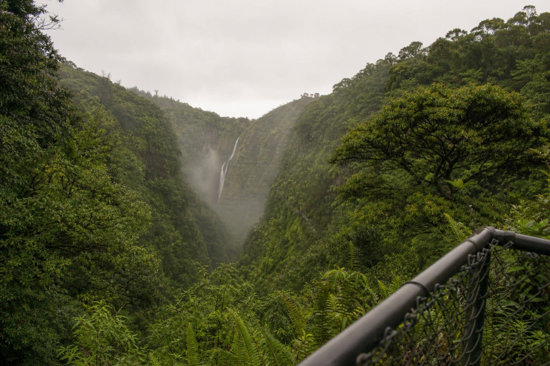 Distant cascading Kahuna Falls seen across a deep green stream gulch from a fenced viewpoint, mist hanging in the valley under flat afternoon cloud