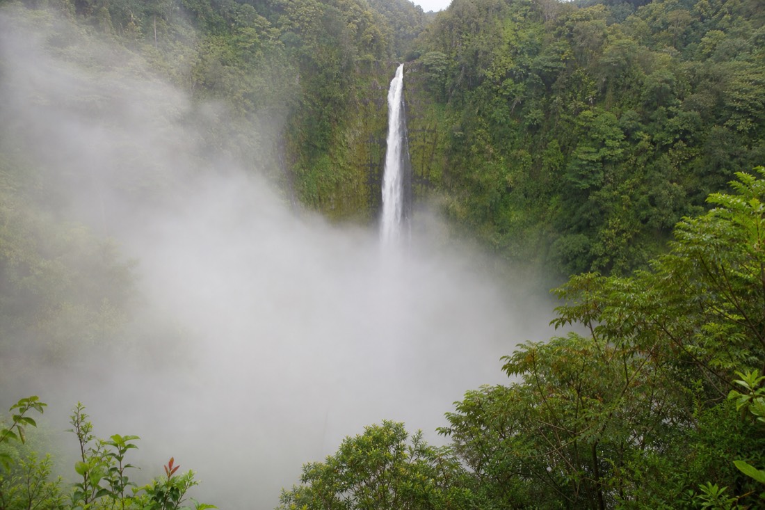 Thick morning mist filling the Akaka Falls gorge with only the upper half of the white water visible above the cloud