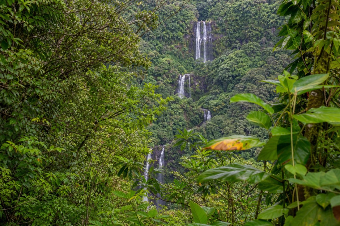 Kahuna Falls cascading in tiers across the valley seen through a gap in dense green vegetation on the north side of the loop trail
