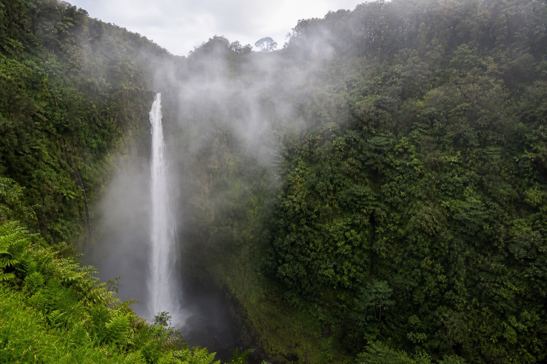 Fine mist drifting across the Akaka Falls gorge on a trade wind morning with the water column half veiled in white spray