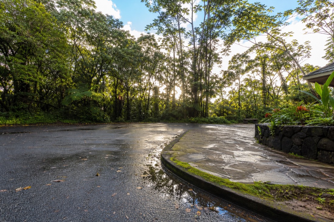 The paved entrance plaza and parking edge at Akaka Falls State Park early in the morning, wet asphalt reflecting low sun, tall rainforest trees crowding the lot boundary