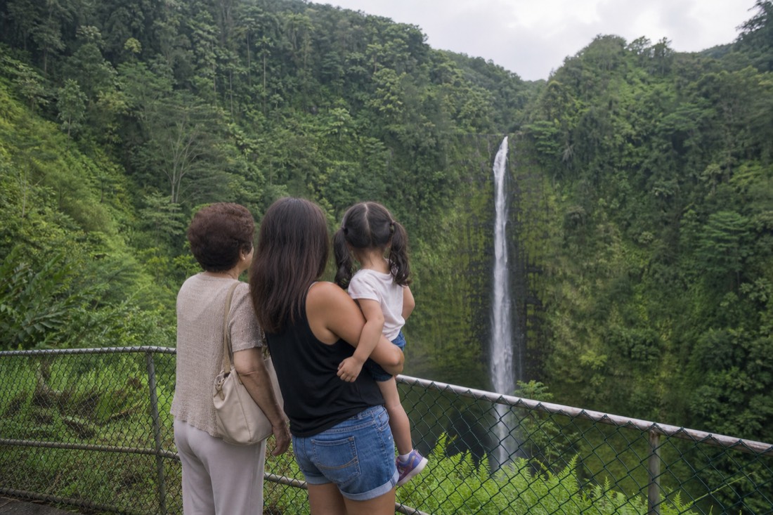 The empty fenced main overlook platform at Akaka Falls with the 442-foot waterfall dropping into the misty gorge beyond, low cloud, soft morning light