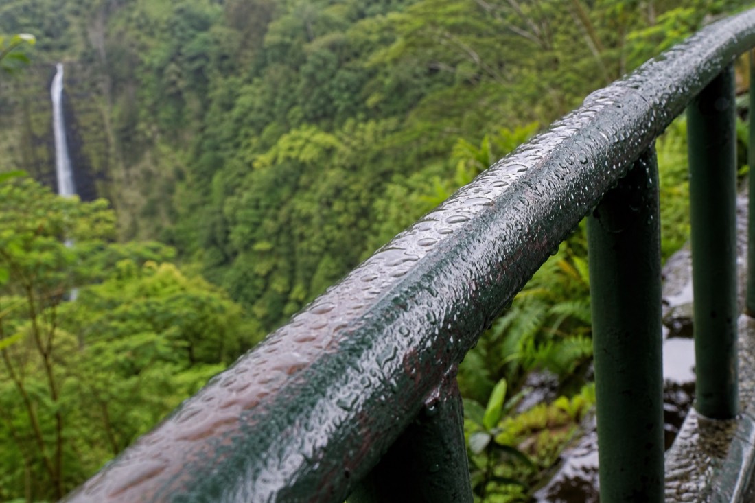 Close view of a wet painted steel guardrail on the gorge edge at Akaka Falls with raindrops beaded along the top bar and blurred rainforest depth falling away behind it