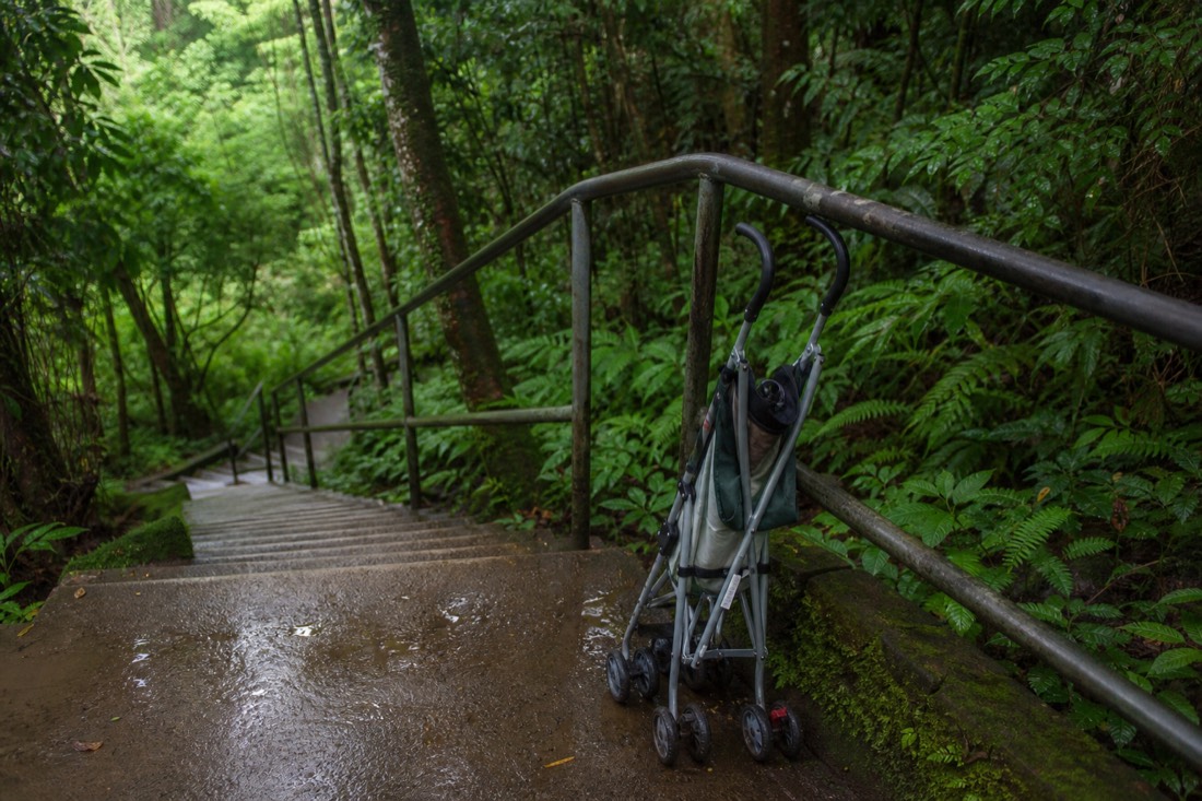 An empty folded umbrella stroller leaning against a steel handrail at the top of a damp concrete stair flight in Akaka Falls State Park, deep green rainforest shade, wet pavement
