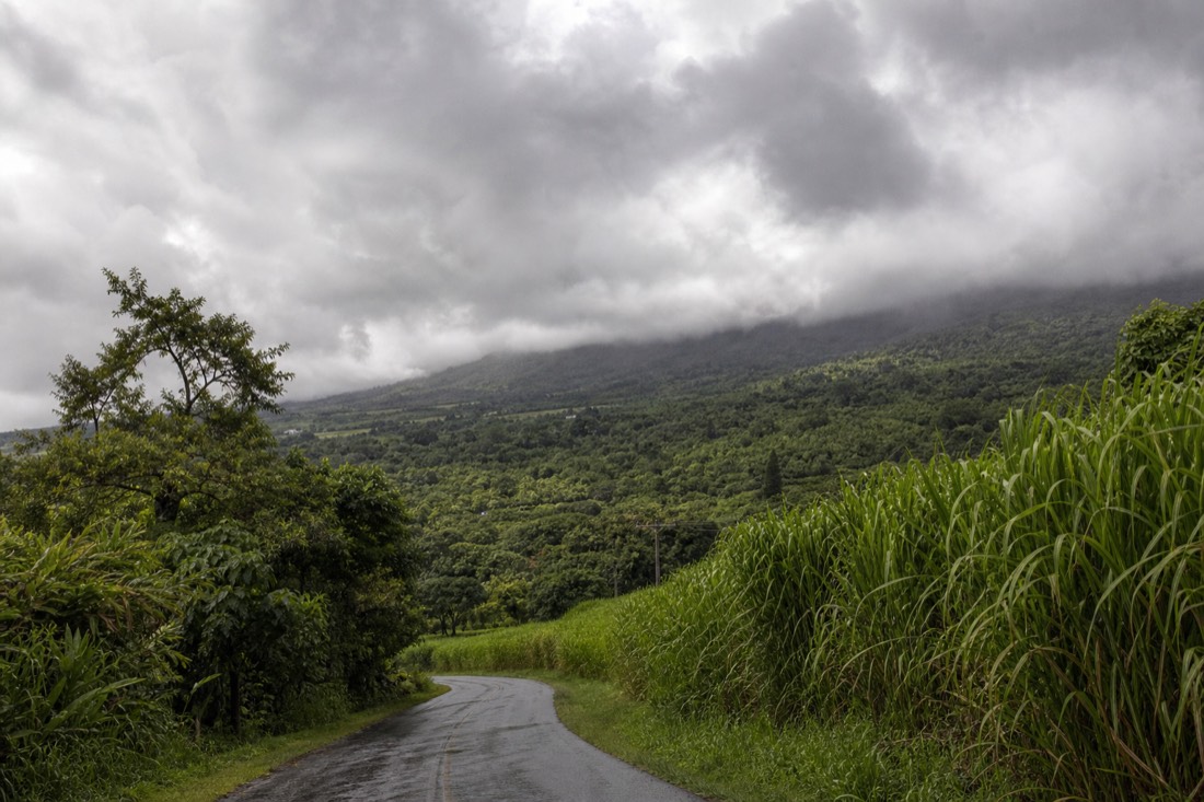 Thick afternoon cloud building over the green Hamakua coastline, a narrow wet two-lane road curving between cane grass and jungle toward the shrouded slope of Mauna Kea