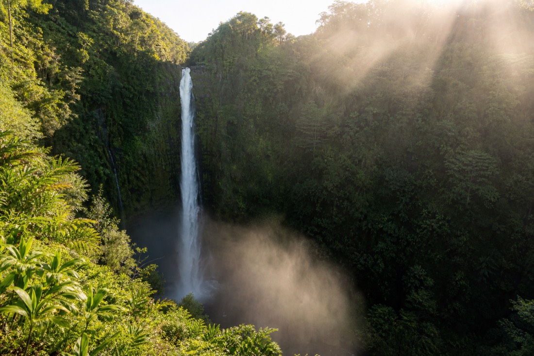 Warm low-angle sunlight raking across the rim of the Akaka Falls gorge, backlit mist glowing above the plunge pool, deep shadow in the lower gorge, no people