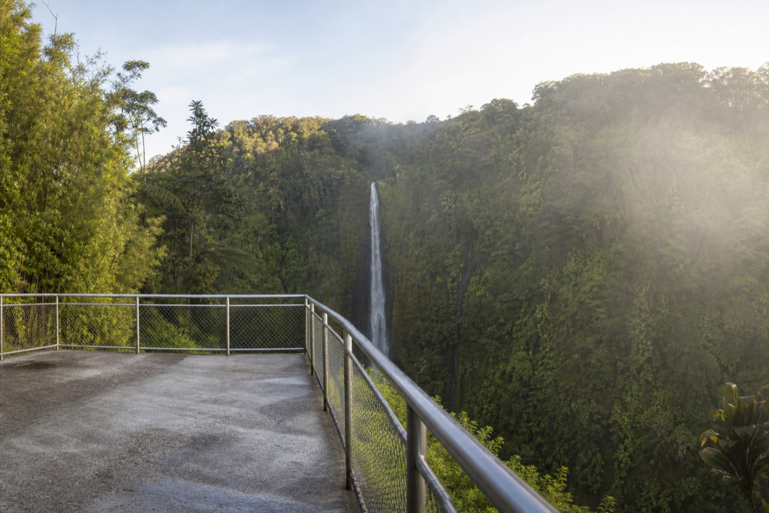 Nearly empty viewing platform facing Akaka Falls in soft early morning light, wet wooden railing, ferns in the foreground, thin mist over the plunge pool