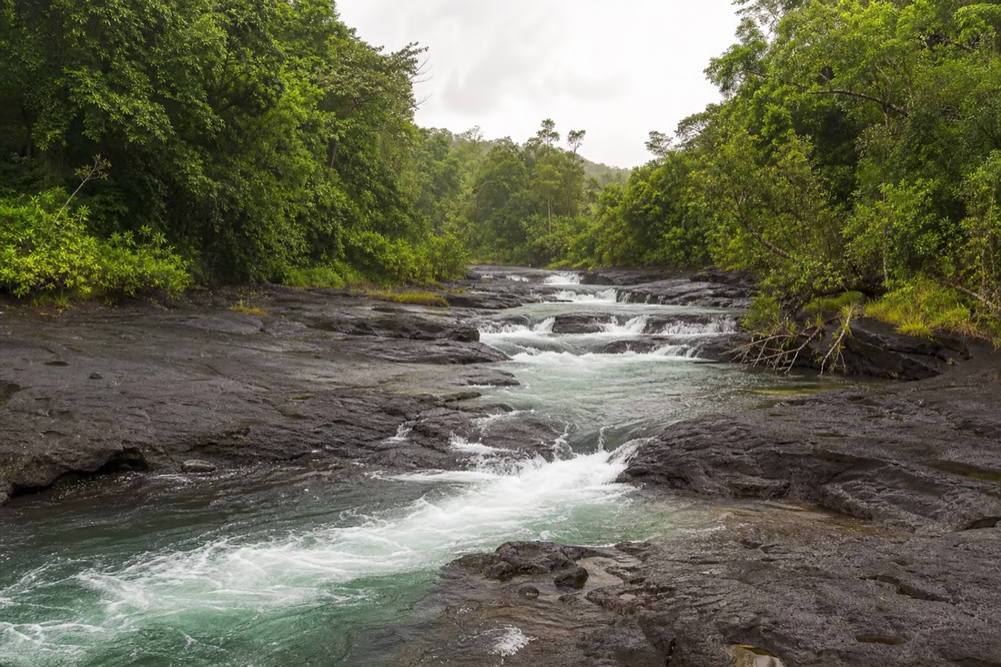 Wide basalt river channel near Hilo with a chain of green pools between smooth lava shelves, water churning white where it steps between them, wet jungle on both banks under bright hazy sky