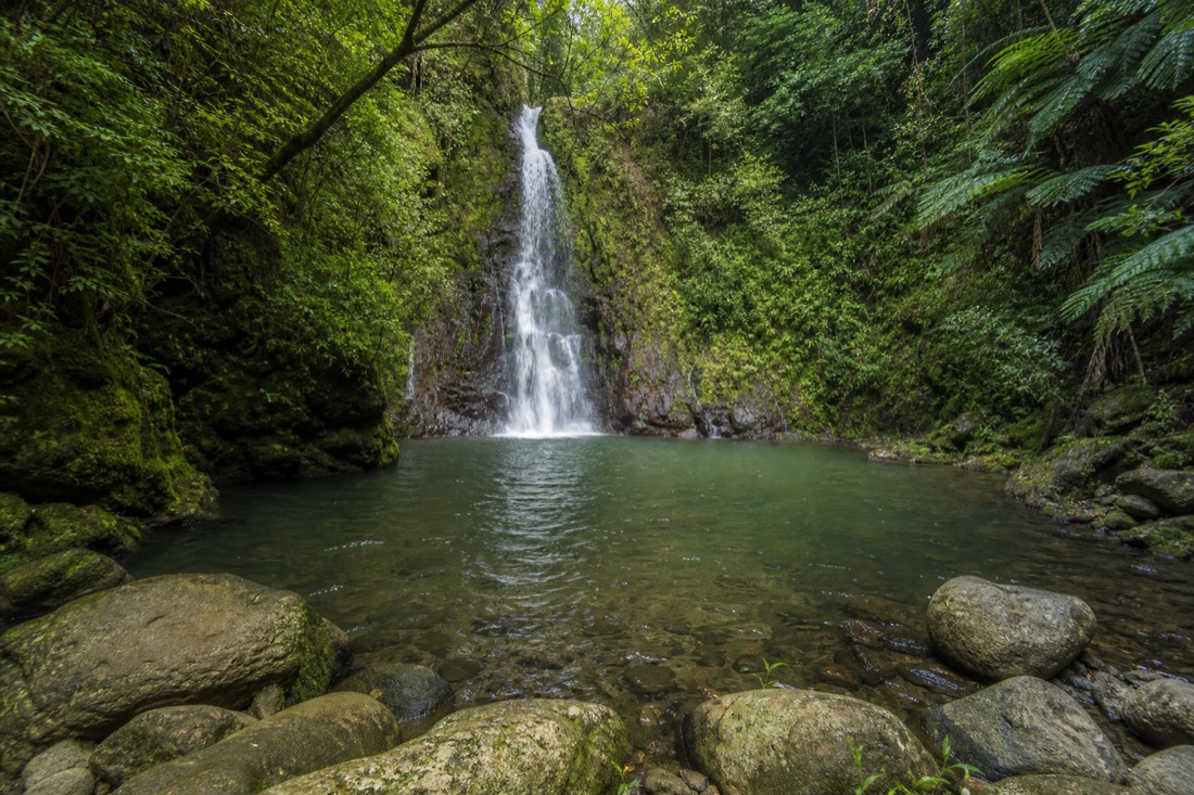 Calm green plunge pool at the base of a modest jungle waterfall on private Hamakua land, mossy boulders forming a natural rim, dappled light through ohia and hapuu ferns
