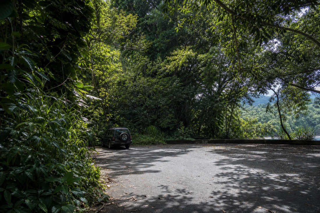 Small rural parking area at the end of a forested road on the Hamakua Coast with dense vegetation crowding the asphalt