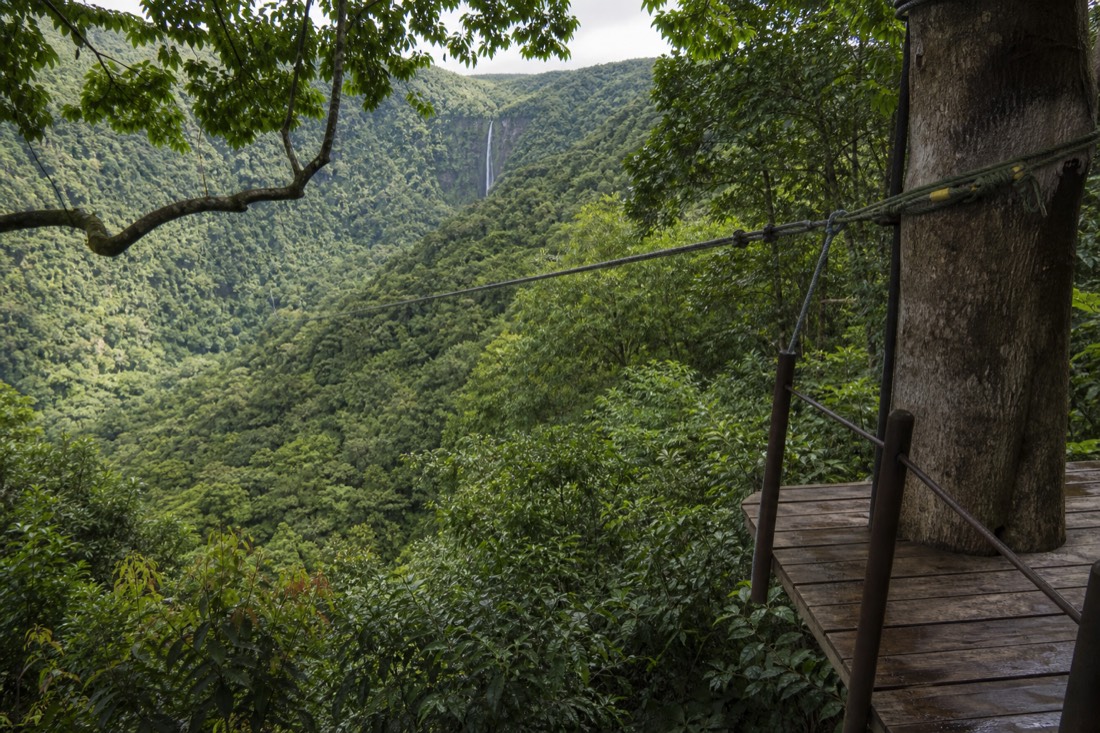 Zipline platform built into the treetops above a green Hamakua gulch with a waterfall in the distance