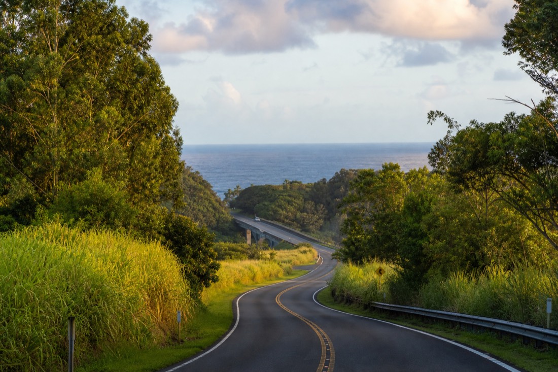 Two-lane highway curving north along the Hamakua coast between cane grass and eucalyptus, ocean visible beyond a gulch bridge in warm late-afternoon light