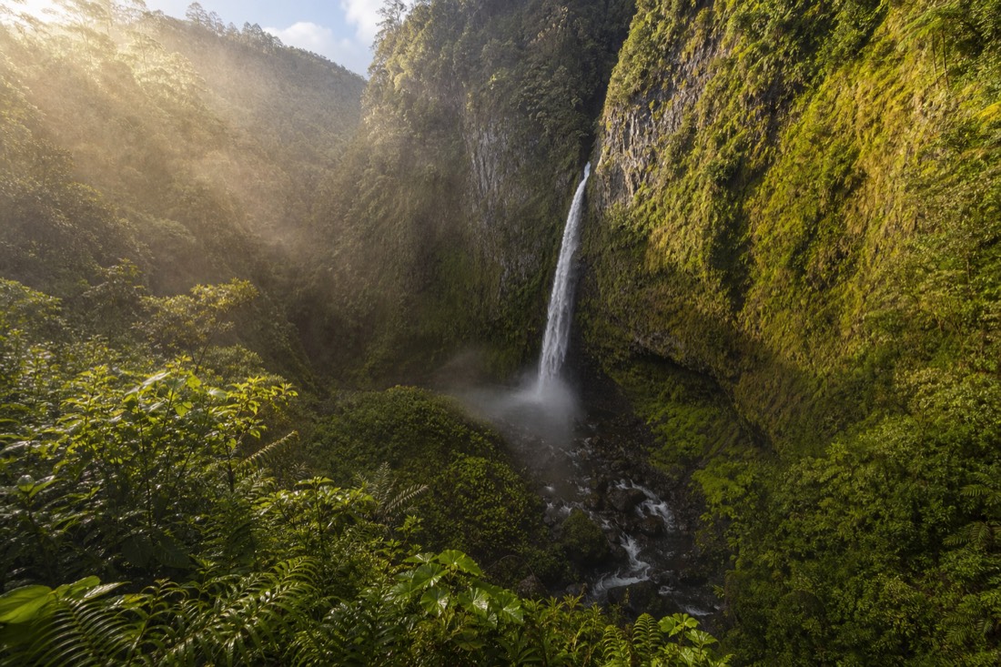 Late afternoon sunlight raking across the stream-eroded gorge below Akaka Falls, warm light on wet rock and dense green vegetation, spray drifting in the air