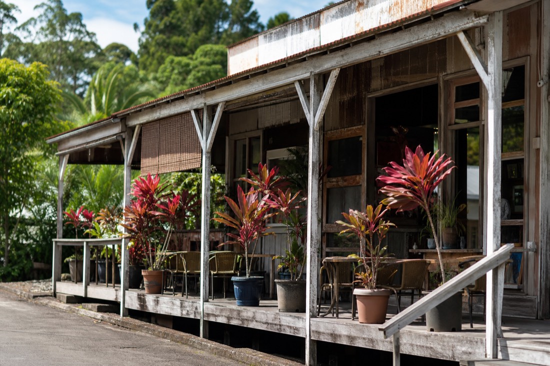 Weathered wooden plantation-era storefront porch in Honomu village on the Hamakua Coast, corrugated roof, potted ti plants and empty cafe chairs in warm late-morning light