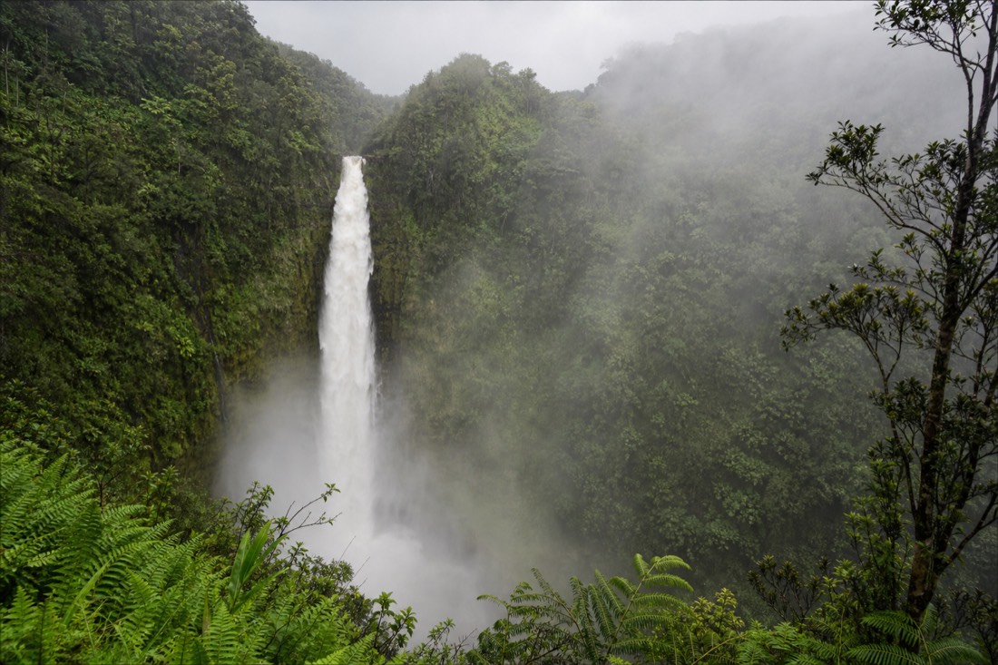 Akaka Falls at high winter flow, a thick white column of water dropping into a mist-filled gorge with spray drifting up through the ferns under heavy grey cloud