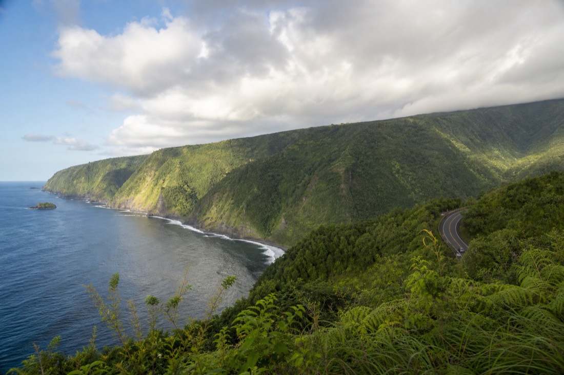 Late afternoon light over the Hamakua coastline with the road curving inland toward the mountains
