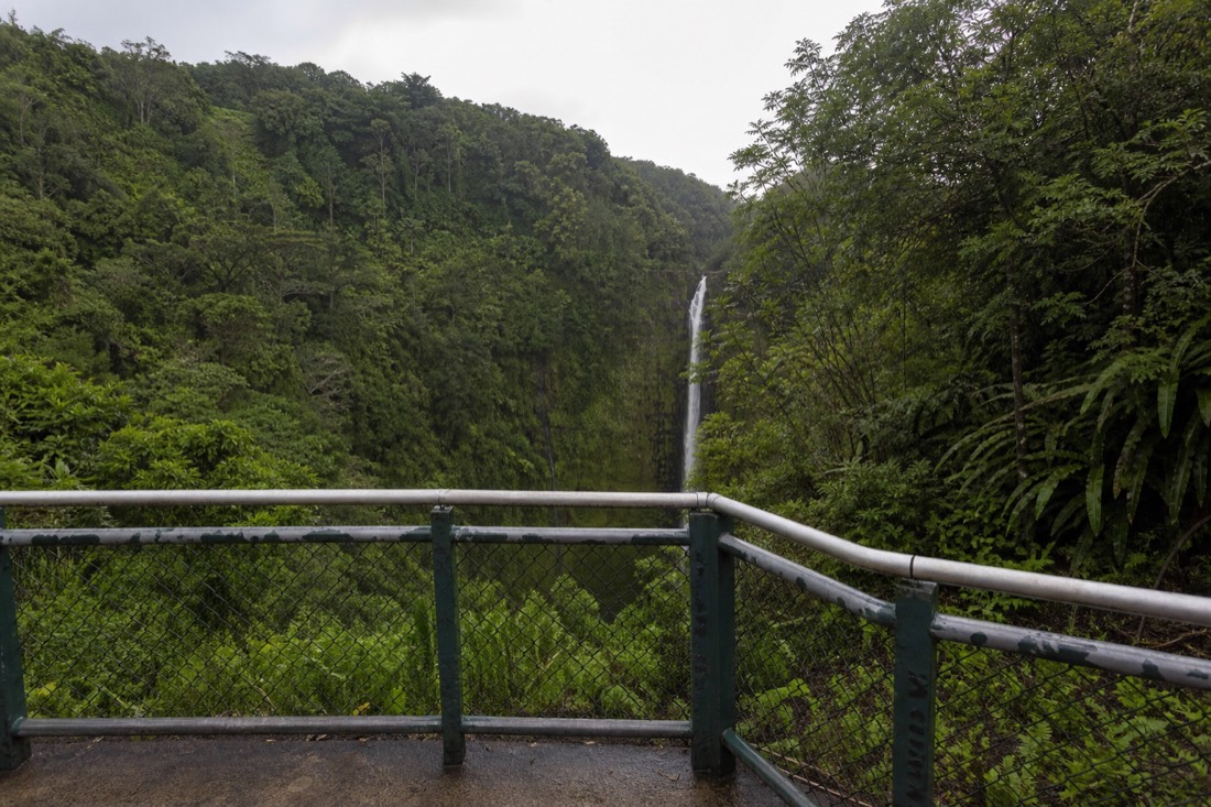 Empty metal railing at the Akaka Falls overlook with rainforest and the distant white ribbon of the falls beyond, soft overcast light