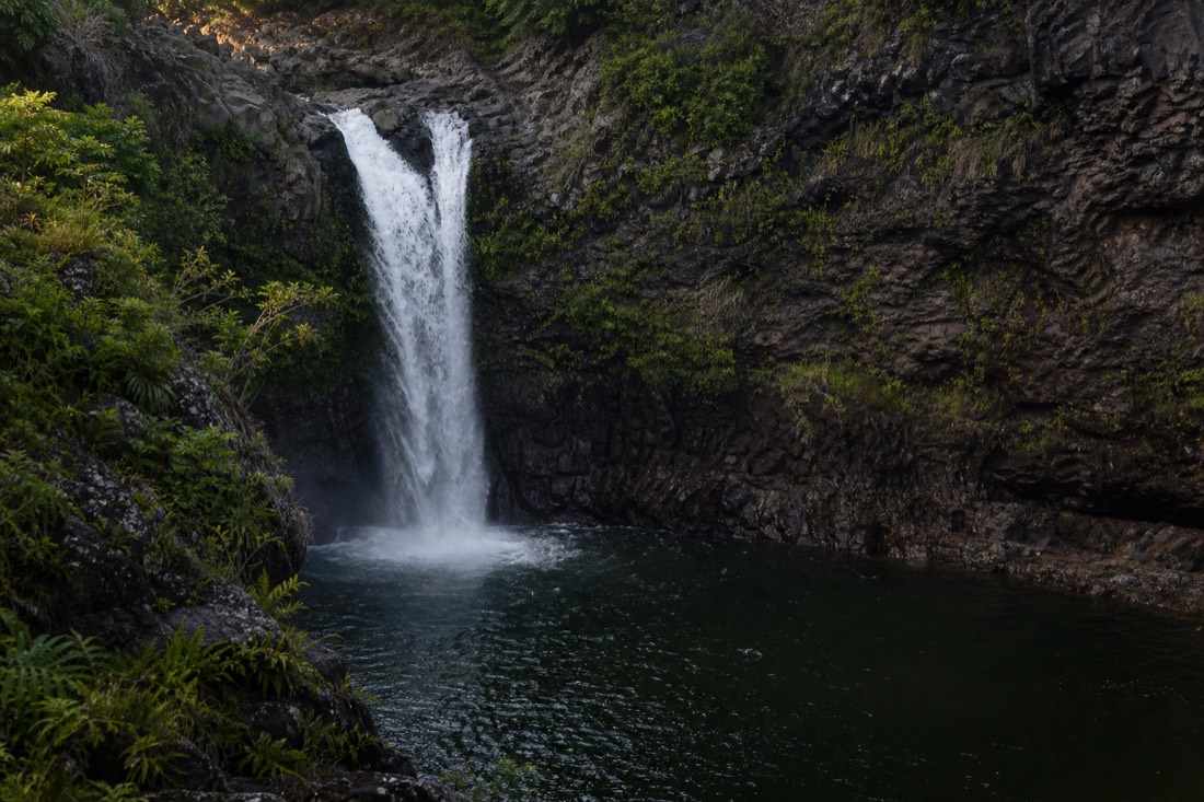 Dark basalt walls and a deep green plunge pool on the Wailuku River below Rainbow Falls, ferns growing from cracks in the rock, low morning light