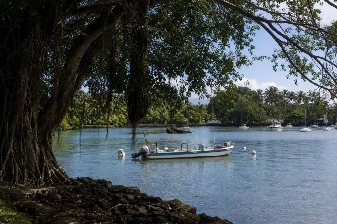Hilo bay waterfront at midday with banyan trees, calm water and fishing boats at anchor