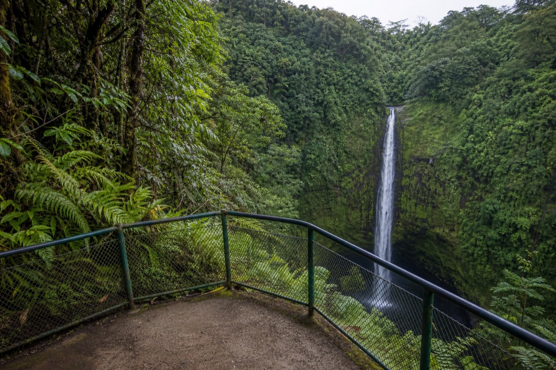 Empty fenced lookout railing at Akaka Falls State Park just after the 8:30am opening with cool light in the gorge