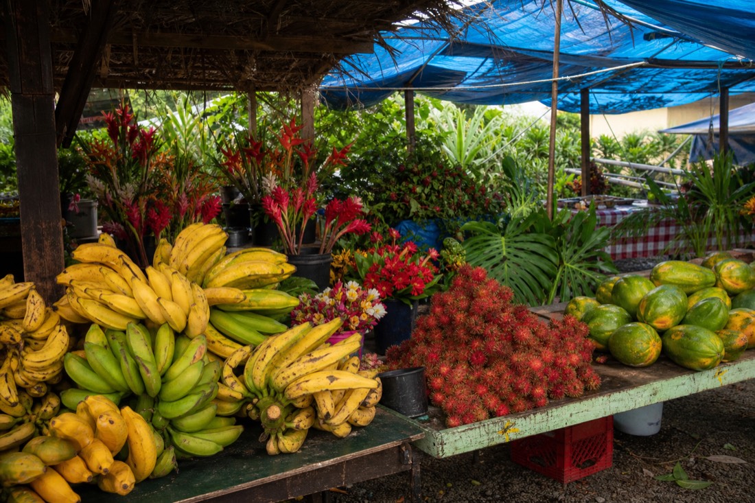Covered stalls of the Hilo Farmers Market piled with apple bananas, papaya, rambutan and cut flowers under blue tarpaulins