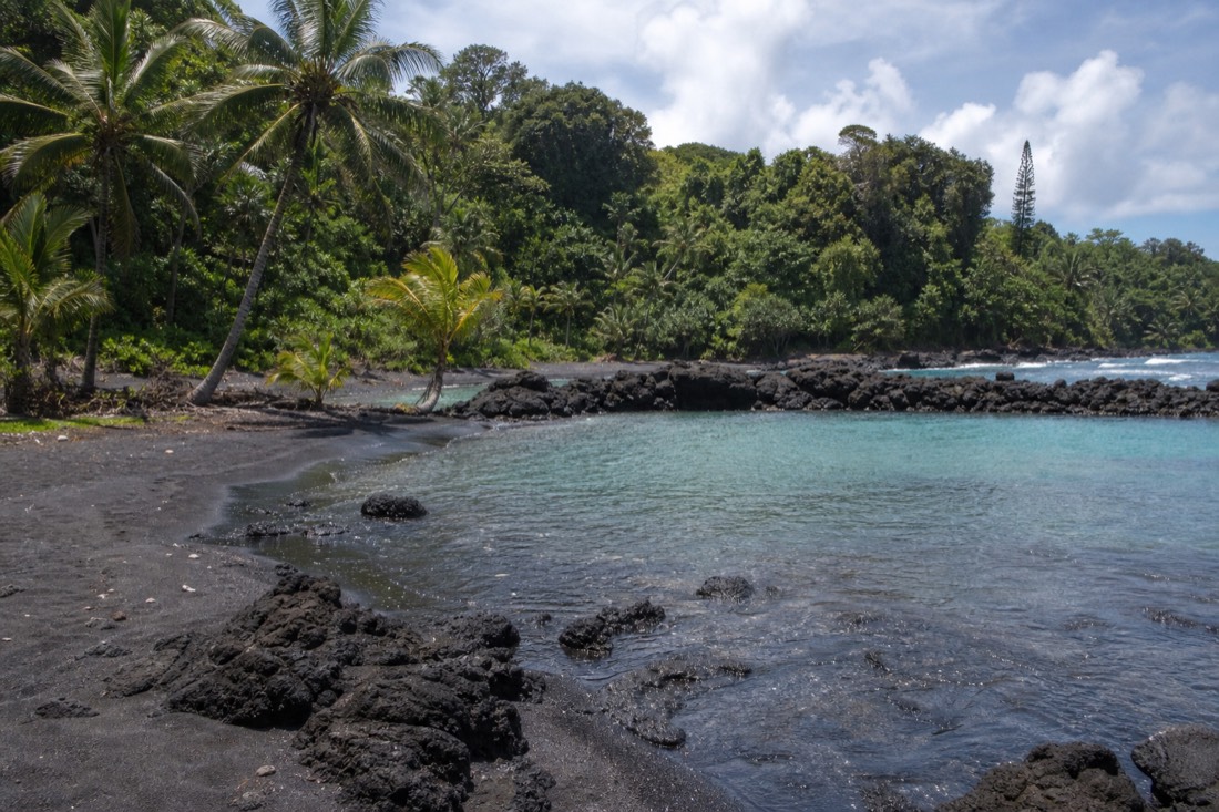 Black sand and lava tide pools at Richardson Ocean Park with calm turquoise water inside the rock barrier and palms leaning over the shore