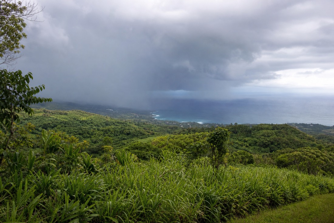 Old sugarcane land above the Hamakua Coast going back to grass and guinea grass with the ocean beyond and rain moving in from the sea
