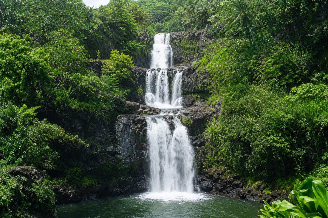 Triple-tiered Umauma Falls dropping through three separate ledges into a green pool surrounded by dense rainforest