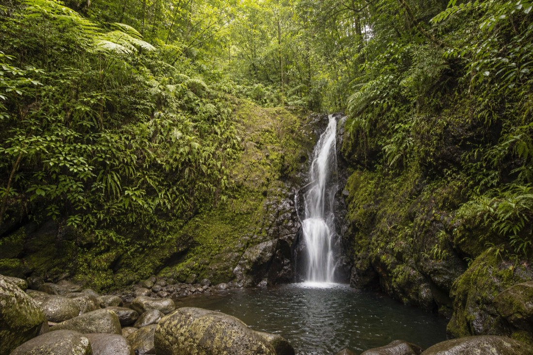 KoleKole Stream falling into a boulder-strewn plunge pool deep in a fern gulch with cable-height rainforest canopy above