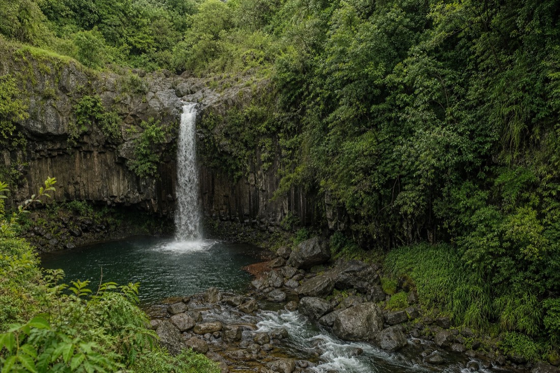 Peepee Falls spilling into the head of the Boiling Pots pools with columnar basalt walls and rainforest crowding the Wailuku River