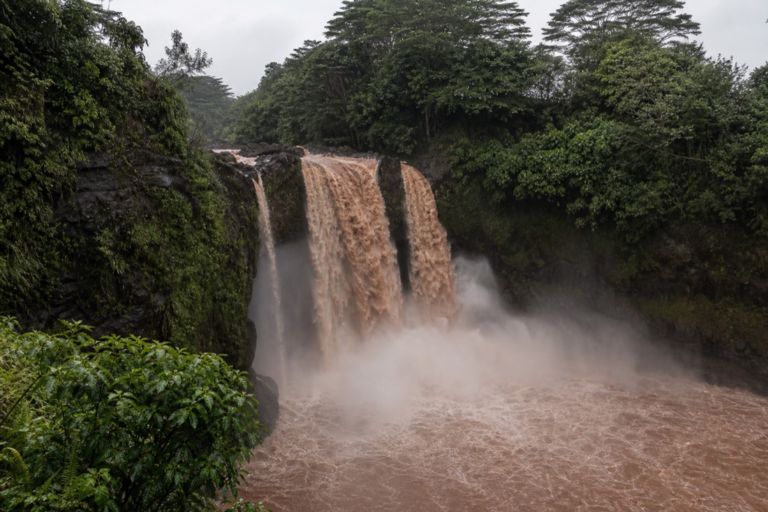 A rainforest waterfall running heavy and brown after a night of rain, the plunge pool churning and opaque with sediment, spray drifting across soaked black rock and bowed green vegetation on both banks, flat grey storm light overhead. Big Island of Hawaii. No people, no text, no signage, no logos.