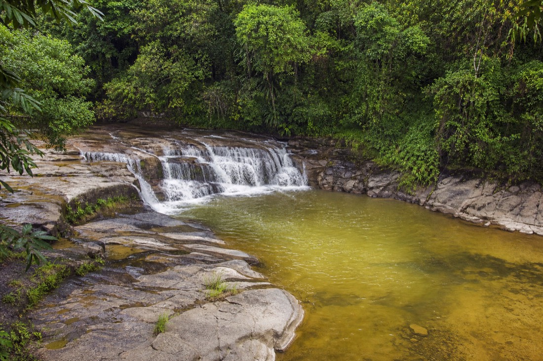 Wide overhead-angle view of a broad amber-green river pool below a short wide cascade, pale smooth lava shelves stepping down into the water, tall jungle wall behind in flat overcast light. Wailuku River area, Big Island of Hawaii. No people, no text, no signage, no logos.