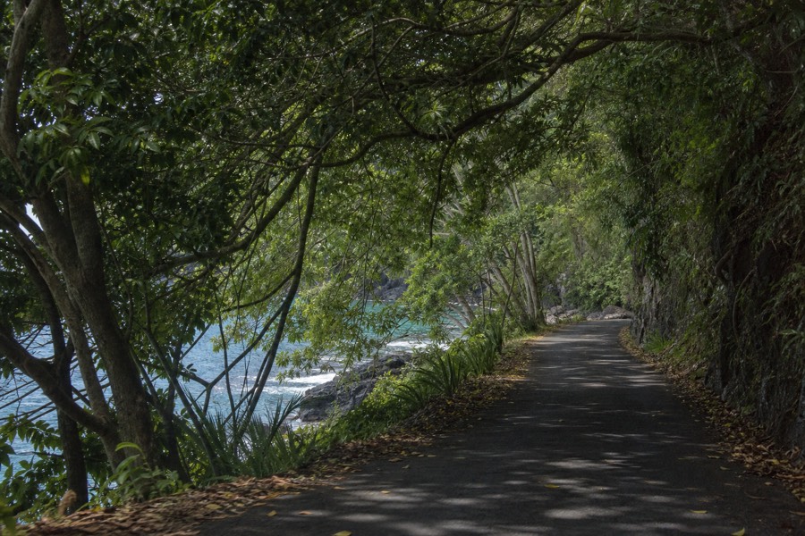 The Onomea Bay scenic drive winding through jungle on the Hamakua Coast