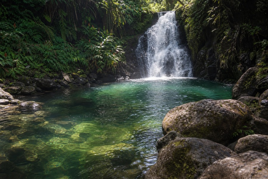 A clear green swimming pool at the base of a jungle waterfall near Hilo